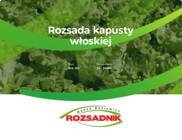 Rozsadnik
