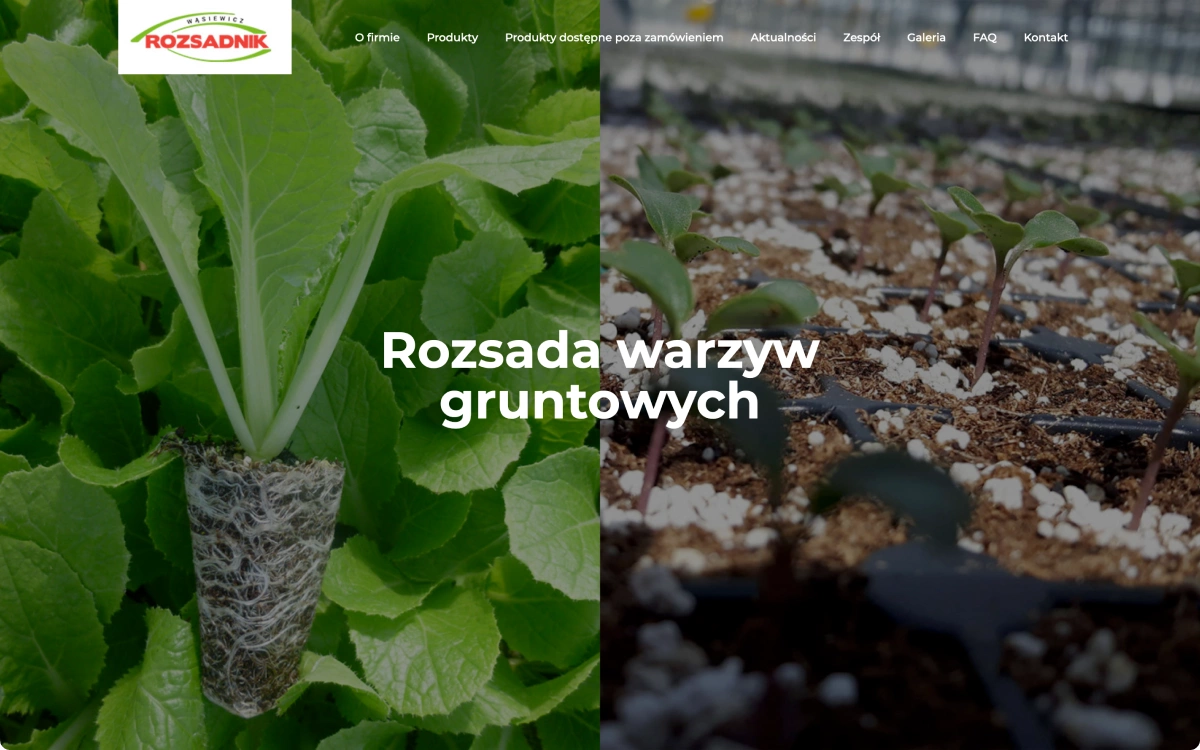 Strona firmy Rozsadnik prezentuje ofertę rozsady warzyw gruntowych. Zawiera informacje o firmie, produktach, zamówieniach, aktualnościach i kontakcie.